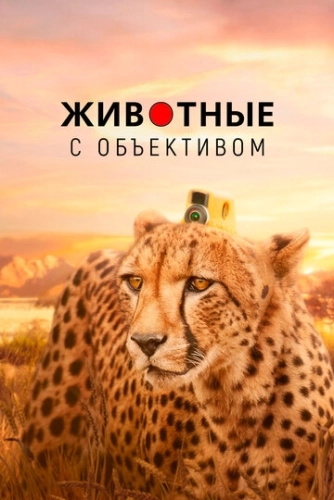 Животные с объективом (2018) смотреть онлайн