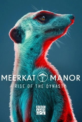 Meerkat Manor: Rise of the Dynasty